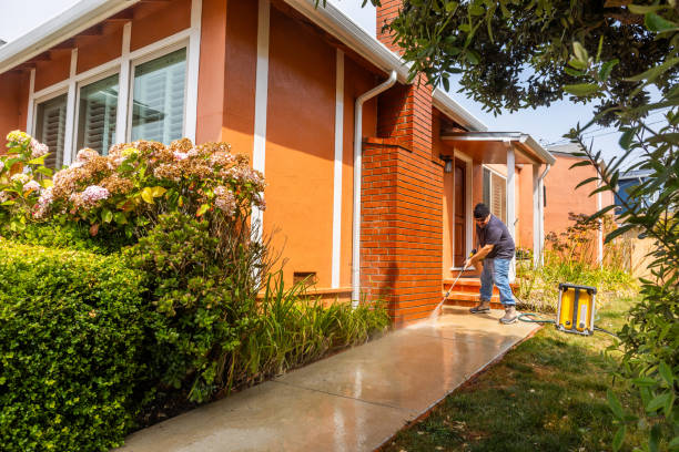 Best Best Pressure Washing Companies  in Maysville, KY